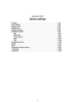 Referāts 'Irmas Grebzdes romāna "Mūžīgā vasara" analīze', 2.