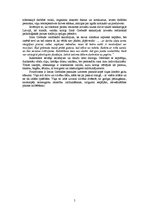 Referāts 'Irmas Grebzdes romāna "Mūžīgā vasara" analīze', 5.