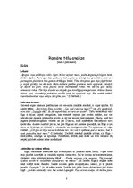 Referāts 'Irmas Grebzdes romāna "Mūžīgā vasara" analīze', 8.