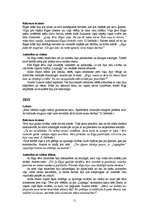 Referāts 'Irmas Grebzdes romāna "Mūžīgā vasara" analīze', 11.