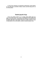 Referāts 'Irmas Grebzdes romāna "Mūžīgā vasara" analīze', 12.