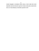 Diplomdarbs 'Līderisma loma pedagoģijā', 38.