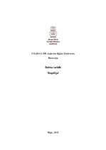 Eseja 'Recenzija "Kopēlija"', 1.