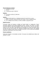 Konspekts 'Stafete 9.klases sporta ieskaitei', 1.