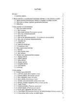 Referāts 'Augu aizsardzība rožu potcelmu audzēšanā', 2.