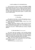 Referāts 'Augu aizsardzība rožu potcelmu audzēšanā', 10.