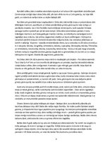 Konspekts 'Rundāles pils', 4.