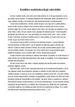 Referāts 'Multikulturālisms mūsdienu sabiedrībā', 8.