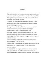 Referāts 'Gaisma', 2.