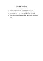 Eseja 'Renē Dekarta filosofiskā šaubu principa - "Domāju, tātad esmu” - interpretācija', 7.