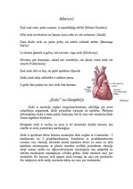 Referāts 'Sirds', 7.