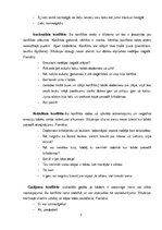 Eseja 'Konflikta situācijas raksturojums', 3.