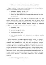 Eseja 'Konflikta situācijas raksturojums', 4.