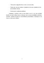 Eseja 'Konflikta situācijas raksturojums', 5.