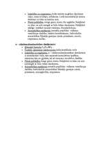 Referāts 'A/S "Olainfarm" raksturojums', 17.