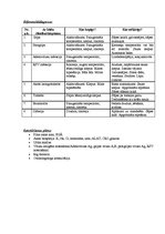 Prakses atskaite 'Akadēmiskā slimības vēsture pediatrijā', 5.