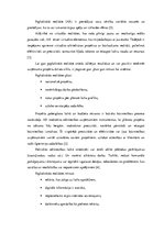 Referāts 'Paplašinātā realitāte būvniecībā', 6.