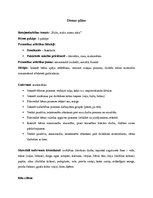 Paraugs 'Dienas plāns', 1.