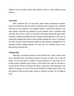 Paraugs 'Dienas plāns', 3.