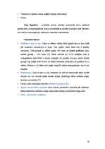 Referāts 'Vardarbība pret bērnu. Bērnu pēkšņās nāves sindroms', 29.