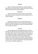 Referāts 'Cīņas māksla visā pasaulē', 2.