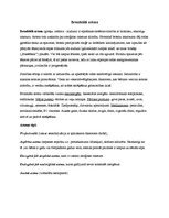 Konspekts 'Bronhiālā astma, diabēts, alerģijas', 1.