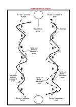 Referāts 'Stafete', 4.