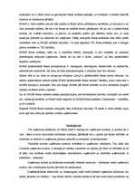 Konspekts 'Uzņēmuma kultūra un ētika', 8.