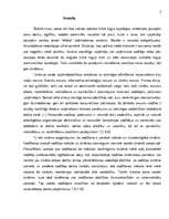 Referāts 'Vadības teorija', 3.