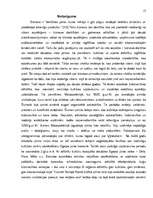 Referāts 'Vadības teorija', 13.