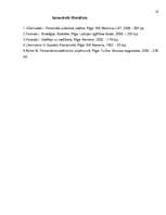 Referāts 'Vadības teorija', 16.