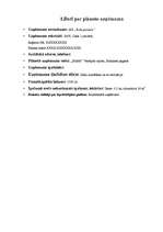 Biznesa plāns 'SIA "Rožu pasaule"', 1.