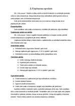 Biznesa plāns 'SIA "Rožu pasaule"', 2.