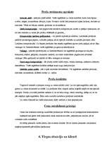 Biznesa plāns 'SIA "Rožu pasaule"', 4.