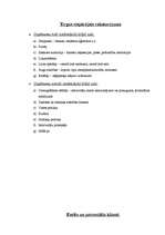 Biznesa plāns 'SIA "Rožu pasaule"', 5.