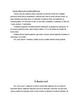 Biznesa plāns 'SIA "Rožu pasaule"', 6.