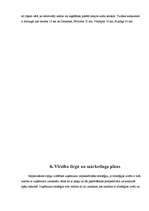 Biznesa plāns 'SIA "Rožu pasaule"', 7.