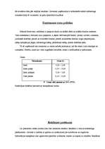 Biznesa plāns 'SIA "Rožu pasaule"', 8.