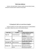 Biznesa plāns 'SIA "Rožu pasaule"', 11.