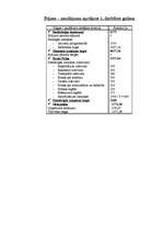 Biznesa plāns 'SIA "Rožu pasaule"', 19.