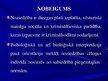 Prezentācija 'Noziedzība kā sociāla problēma', 43.