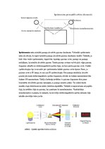 Paraugs 'Eksāmena atbildes Spektroskopijas metodes medicīnā', 14.