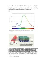 Paraugs 'Eksāmena atbildes Spektroskopijas metodes medicīnā', 20.