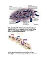 Paraugs 'Eksāmena atbildes Spektroskopijas metodes medicīnā', 28.