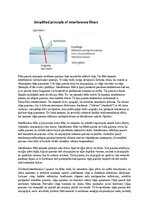 Paraugs 'Eksāmena atbildes Spektroskopijas metodes medicīnā', 42.