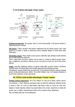 Paraugs 'Eksāmena atbildes Spektroskopijas metodes medicīnā', 106.