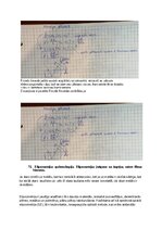 Paraugs 'Eksāmena atbildes Spektroskopijas metodes medicīnā', 118.