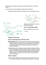 Paraugs 'Eksāmena atbildes Spektroskopijas metodes medicīnā', 125.