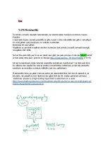 Paraugs 'Eksāmena atbildes Spektroskopijas metodes medicīnā', 128.