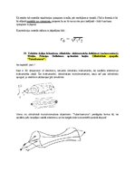 Paraugs 'Spektroskopijas metodes medicīnā', 44.